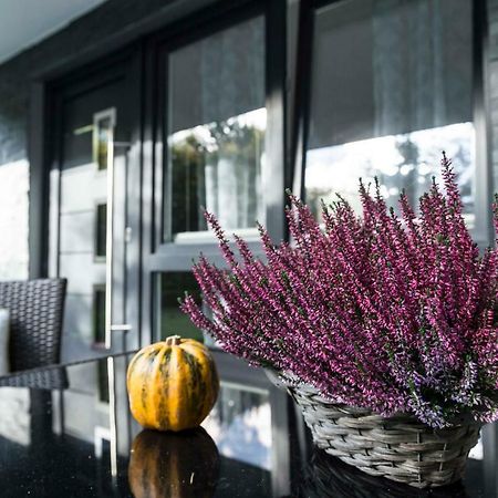 Ferienwohnung Saalhausen Sauerland Ленещат Екстериор снимка